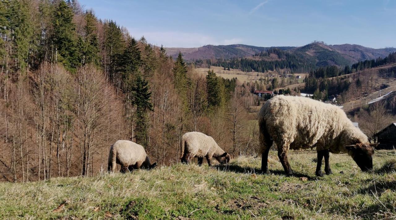 Penzion Rzehaczek Dolní Lomná Eksteriør bilde
