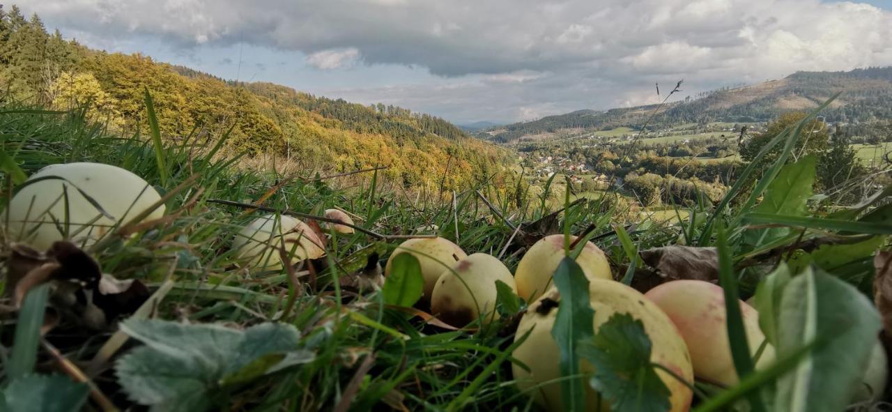 Penzion Rzehaczek Dolní Lomná Eksteriør bilde